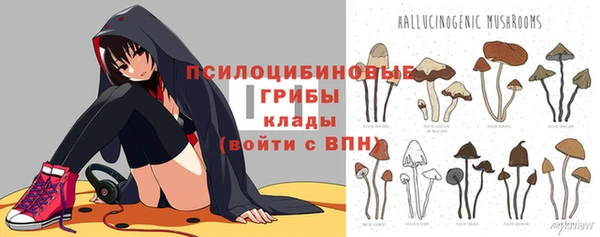 бошки Бежецк